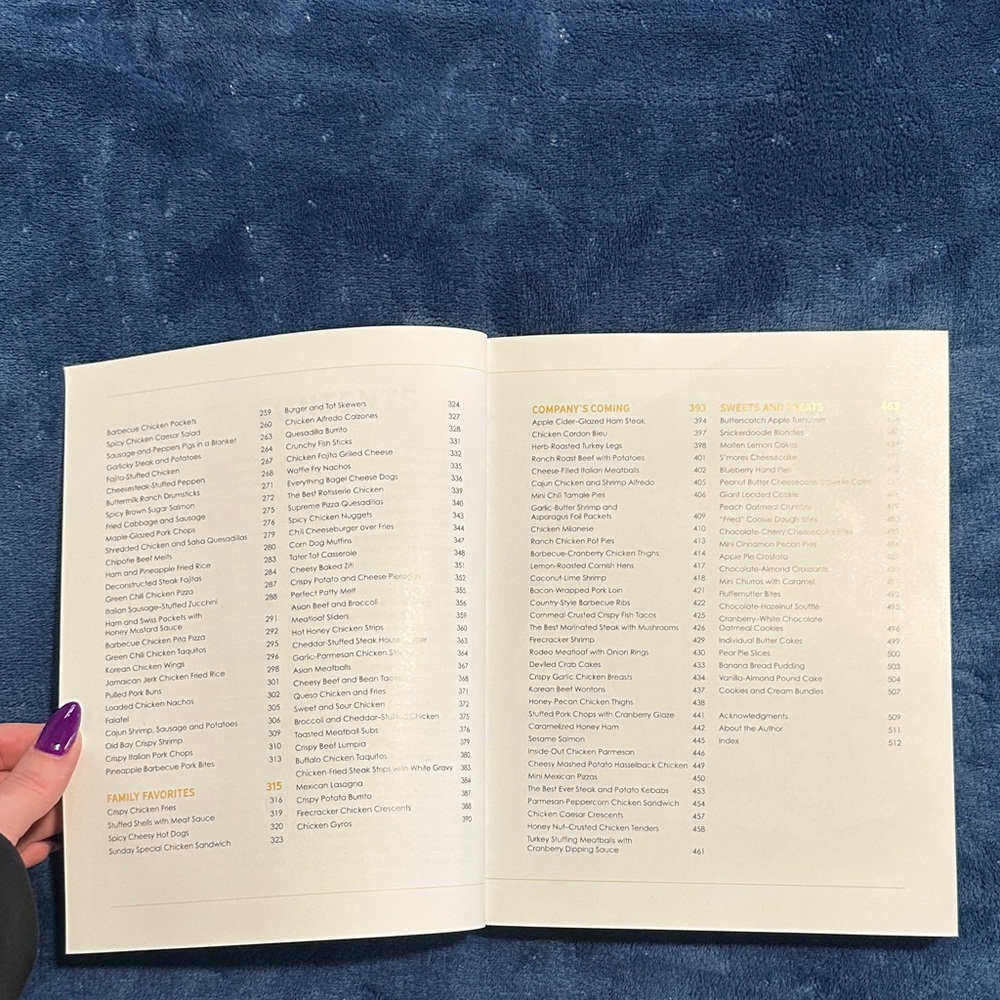 The Big Book of Air Fryer Recipes - Picture 5 of 5
